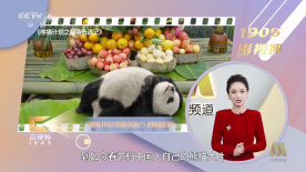 午夜精品久久久久久久久